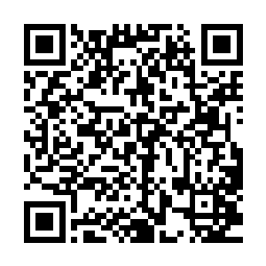 其实许紫烟完全可以给林飞夜和林绯虞兄妹两个人修炼的丹药二维码生成