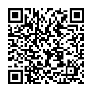 其实这个时候的小胖真的已经到了无法承受的地步二维码生成