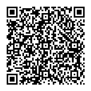 其实那张撒开的大网才刚刚是收拢的时候……在我的三魂六魄就要进到六道之中转世为人的紧急关头二维码生成