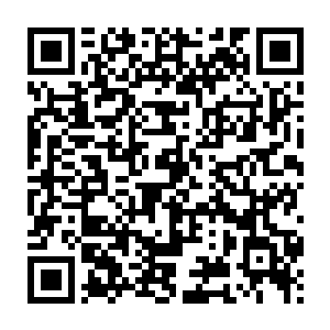 兼之另外左右两路由吕蒙以及朱然所率领的霸王军精锐也是生猛绝伦二维码生成