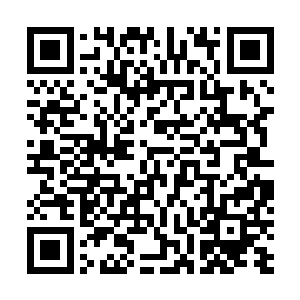 兽人们需要一切力量来攻向人类最后的堡垒――红枫防线二维码生成