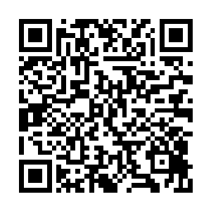 内务部部长桑托斯来到滨海庄园拜访张生的时候二维码生成
