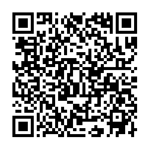 内心一直压抑着的沉闷与彷徨由于这只新生幼崽可爱的表现一扫而空二维码生成