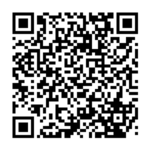 内心怒气值已经攀升到了顶点的四大天王也再也忍不住心中的杀机和怒火二维码生成