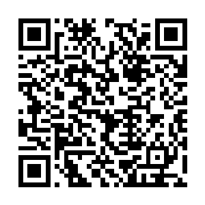 内阁也在曾毅和守旧派的交手当中占了不少的便宜二维码生成
