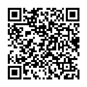 再一次发现自己竟在母域师门圣山上替杀夫仇人与青脉担心二维码生成