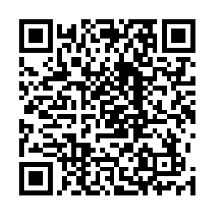 再不交钱信不信老子把你们全部扒光灌了春药扔猪圈里去二维码生成