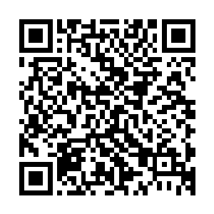 再不济几条公路或者临时平整的训练场之类的也会被清理出来二维码生成