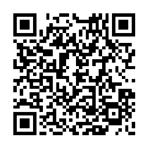 再不然让我有个榻榻米靠着也行啊……喂喂……二维码生成