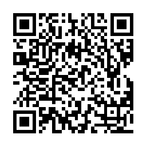 再也不是之前那个在林烽面前毫无顾忌的刁蛮护士姐姐二维码生成