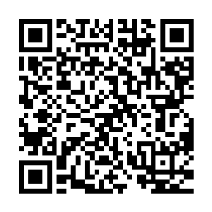 再也不是以前他随便一巴掌就能把他给拍打在地上的小火龙了二维码生成