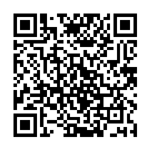 再也别想得到比修仙者更高的修炼效率和升级成功率二维码生成
