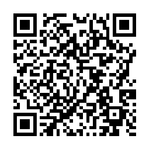 再从此前就已经拍好的几百张照片里挑选出来一张做封面二维码生成