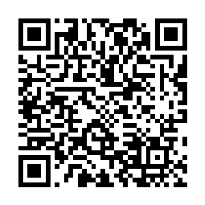 再以流亡政府特使的名义进入联邦――你也是这个计划吧二维码生成