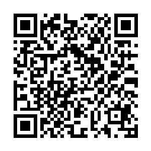 再到现在的故意去挑战地五班全班学员在过去的六年中二维码生成