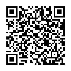 再加上在场长老对林铭之前的做法确实有些不爽二维码生成