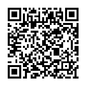 再加上塔是等那群蜻蜓飞得稍低的时候往下跳的二维码生成