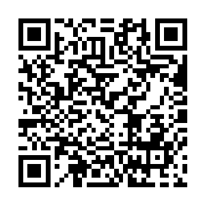 再加上暗红色小剑可是中央主剑域剑道宗门修罗剑宗的信物二维码生成