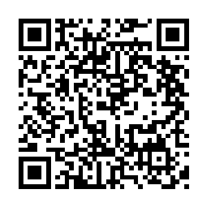 再加上自己的攻击会被那诡异的血色气息所消磨二维码生成