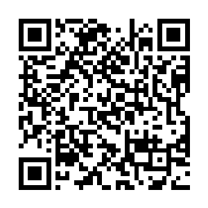 再加上这么密密麻麻一团又一团……那种视觉上的冲击二维码生成