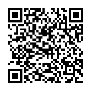 再加上这件事是在女王跟艾莉娜通过电话之后才发生的二维码生成