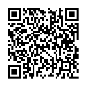 再巨大的愤怒都不会在眼前的战场中激起半点波澜二维码生成