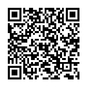 再想获得精灵一族的信任和好感就没有那么容易了二维码生成