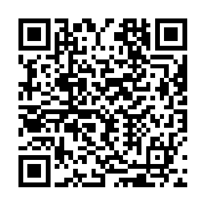 再把这个小妮子带回去给四海龙王殿下继续当东宫娘娘二维码生成