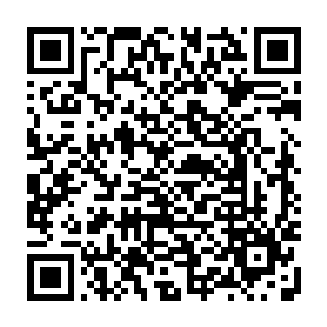 再次嫌弃的将趴在他身前像头小猪崽一样拱来拱去的家伙给硬生生从腰上解开二维码生成