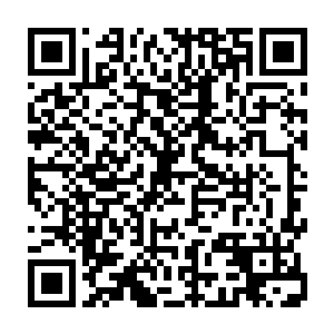 再次被巴克评价还算小姑娘的姐妹俩只能着重观察姐姐们究竟有什么不同二维码生成