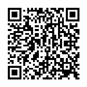 再母爱泛滥也不会……我觉得黛玻菈一定也对你有好感二维码生成