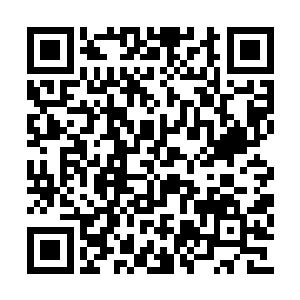 再没有比九幽和昔日仙界最上层适合他们修炼了二维码生成