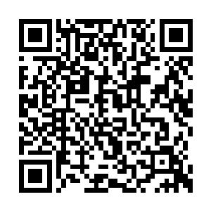 再看看朱平安那憨憨傻傻的等着大家夸奖的模样二维码生成