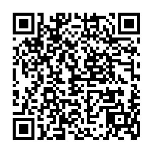 再看看自己这边零星几只被他一巴掌拍死的零星几只灵卫……他深深的郁卒了二维码生成