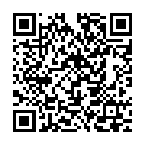 再结合宿主神国中的力量一举创造出了宿主现在所在的第二神国二维码生成