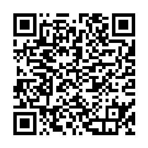 再让他这么吸下去要不了多久他可能会没有灵气支撑战斗了二维码生成