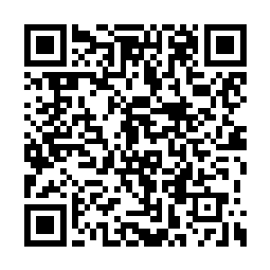 再说你真想让你爸你妈把你绑在家里陪他俩说话二维码生成