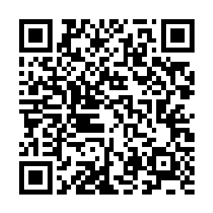 再过一段时间他们就要代表国家去参加世界特种兵排名赛了二维码生成