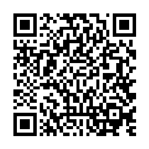 再配个二十辆巴尔西昂和十辆古兰修专门用来接送住店的客人二维码生成