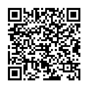 军校的防御力量真的如他们想象中那么万无一失吗二维码生成