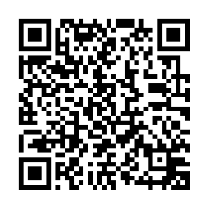 冯文博听说师祖老人家当时还特意在他家乡一带寻了他数个月二维码生成