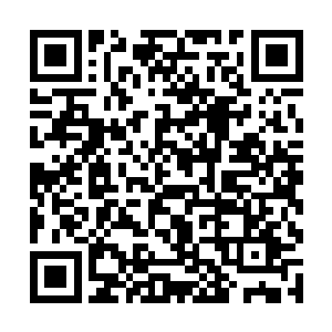 冯文博已经从心里完全认同了这位突然冒出来的师叔二维码生成