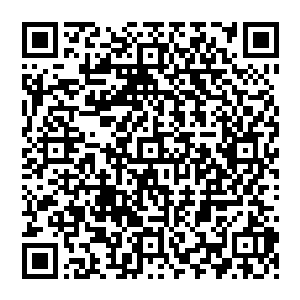 冲击力也就相当于千年老僵尸的全力一击而已……对傀儡人造成的损伤程度也是相差不算太多的二维码生成