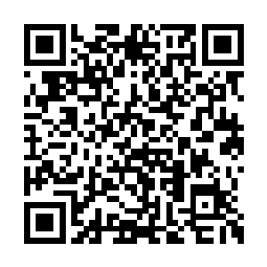 冲在最前面的一个小子便被一拳狠狠的砸飞出去二维码生成