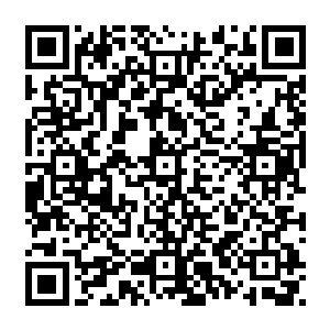 冲锋之中的十级以上的铁甲魔们都开始一边奔跑一边用自己的战气轰击前面的地面二维码生成