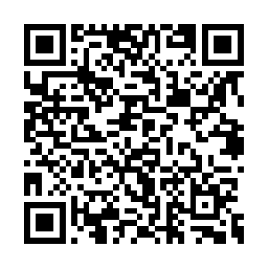 冷冷的风吹过几片枯叶左摇右摆的落在了街道上二维码生成