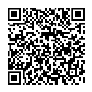 冷天佑身体之中的寒冰之气正在从他的手中飞舞出来聚集到了巴博斯的手中二维码生成