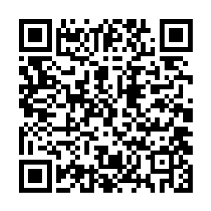 冷寒烟一双如玉的手指一点一滴的拍打着马车的木梁二维码生成