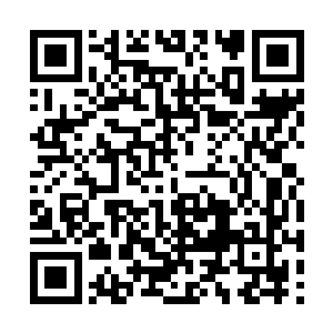 冷族长和严族长一起将水晶记忆果实里的画面看完二维码生成