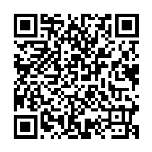 冷血君以及飞船上十万道魂界人类修士和一百多名妖族的消息二维码生成